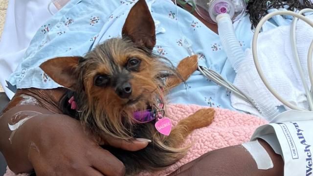 Raleigh mass shooting survivor able to speak and walk again, reunited with beloved dog. Image credit: Lynn Gardner's GoFundMe