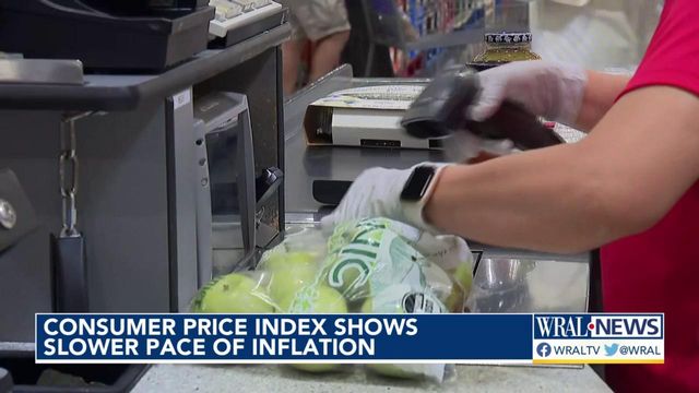 Consumer Price Index shows slower pace of inflation