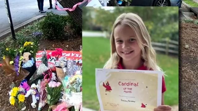 Raleigh Christmas Parade float driver could face 150 days in prison if ...