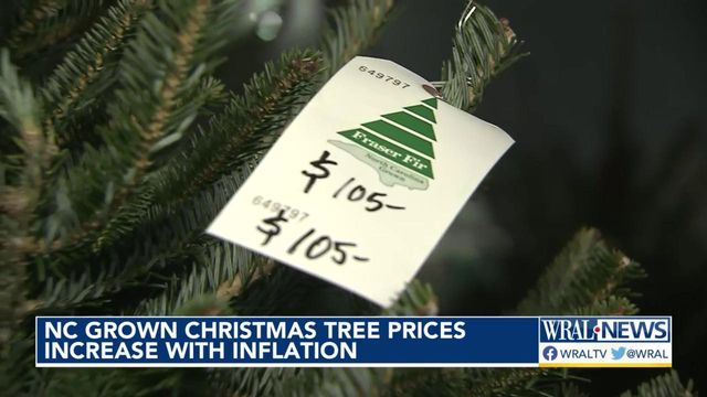 NC Christmas tree farms selling pricer trees as inflation persists