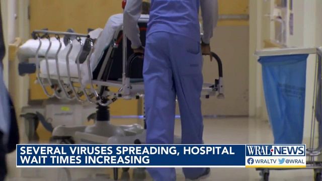 Several viruses spreading, hospital wait times increasing 