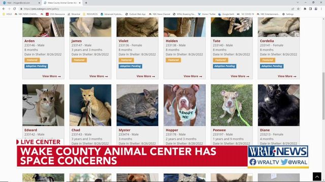 Wake County Animal Center urges community to adopt so it doesn't have to euthanize animals