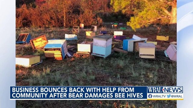 Fundraiser supports Raleigh bee farmer after a bear destroyed $10,000 worth of his beehives