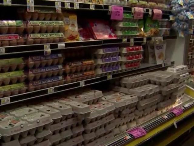 Survey: A third of families say rising food costs leads to kids not ...