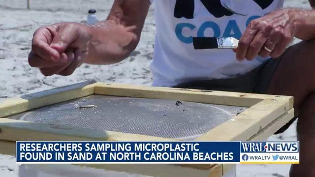 Researchers inspect various kinds of microplastics found at NC beaches