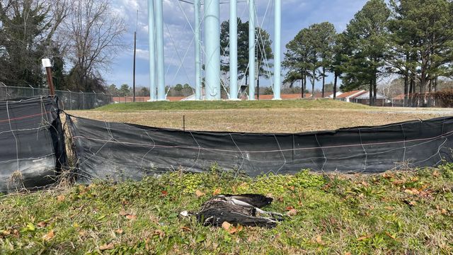 Dozens of dead vultures discovered around Fuquay-Varina water tower