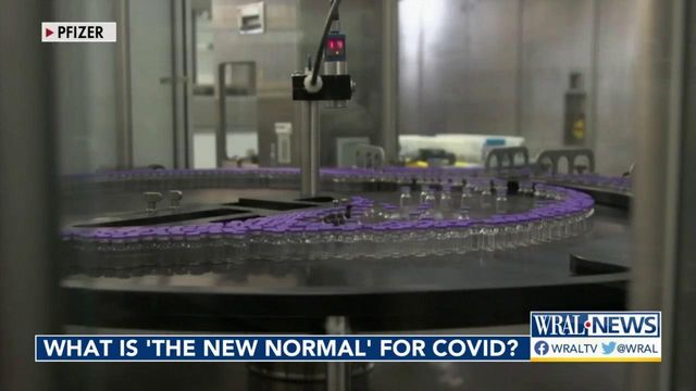 What is the 'new normal' for COVID-19?