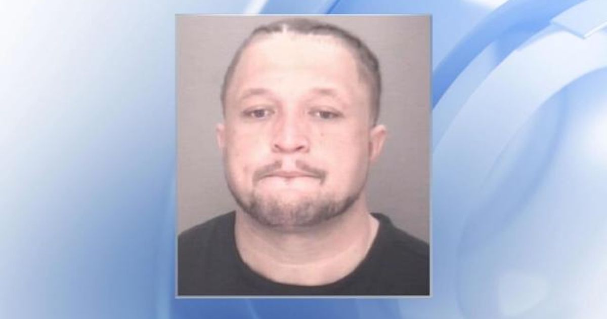 Convicted felon arrested for pointing weapon at deputy on I-95 in ...