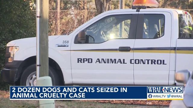 2 dozen cats and dogs siezed in animal cruelty case