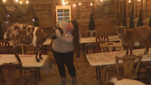 You can reserve a 'goat gram' for Valentine's Day