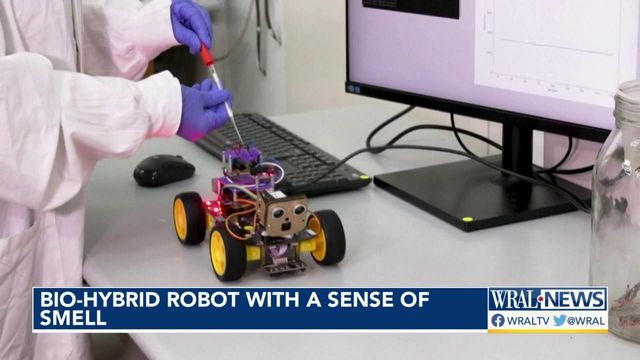 This robot has a sense of smell -- and could help save your life 