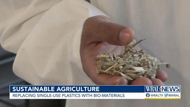 Replacing single-use plastics with biomaterials