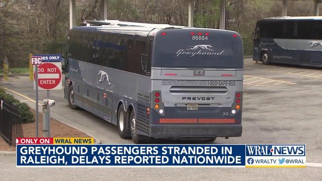 'I will never take them again': Greyhound bus travelers upset by delays