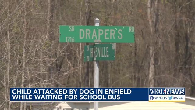 Child attacked by dog while waiting for school bus in Halifax County