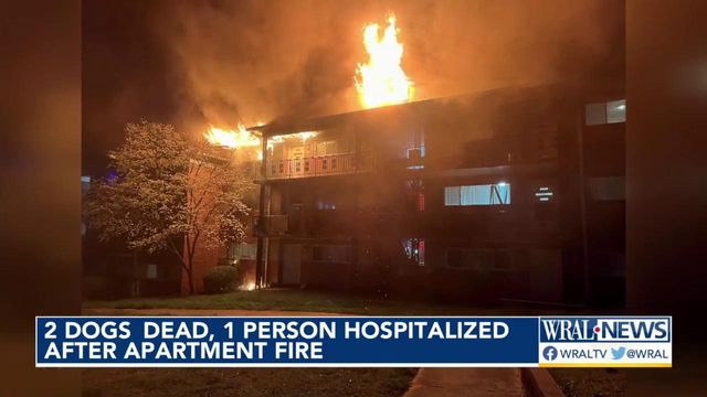 Durham apartment fire displaces 8 people and 8 dogs 