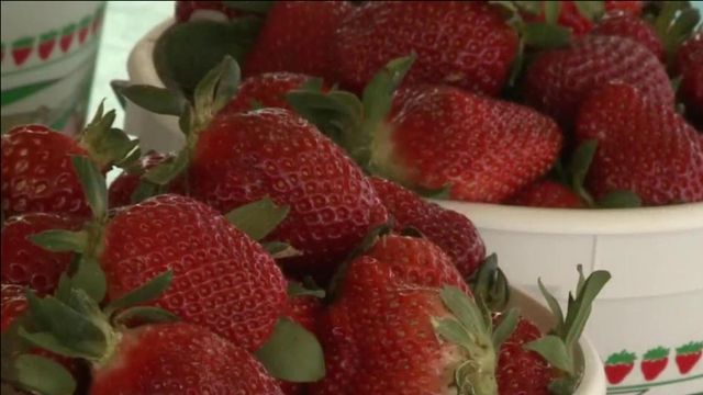 Warmer winter brings early strawberry season