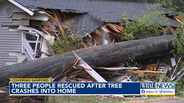 Family rescued from home after tree falls on roof