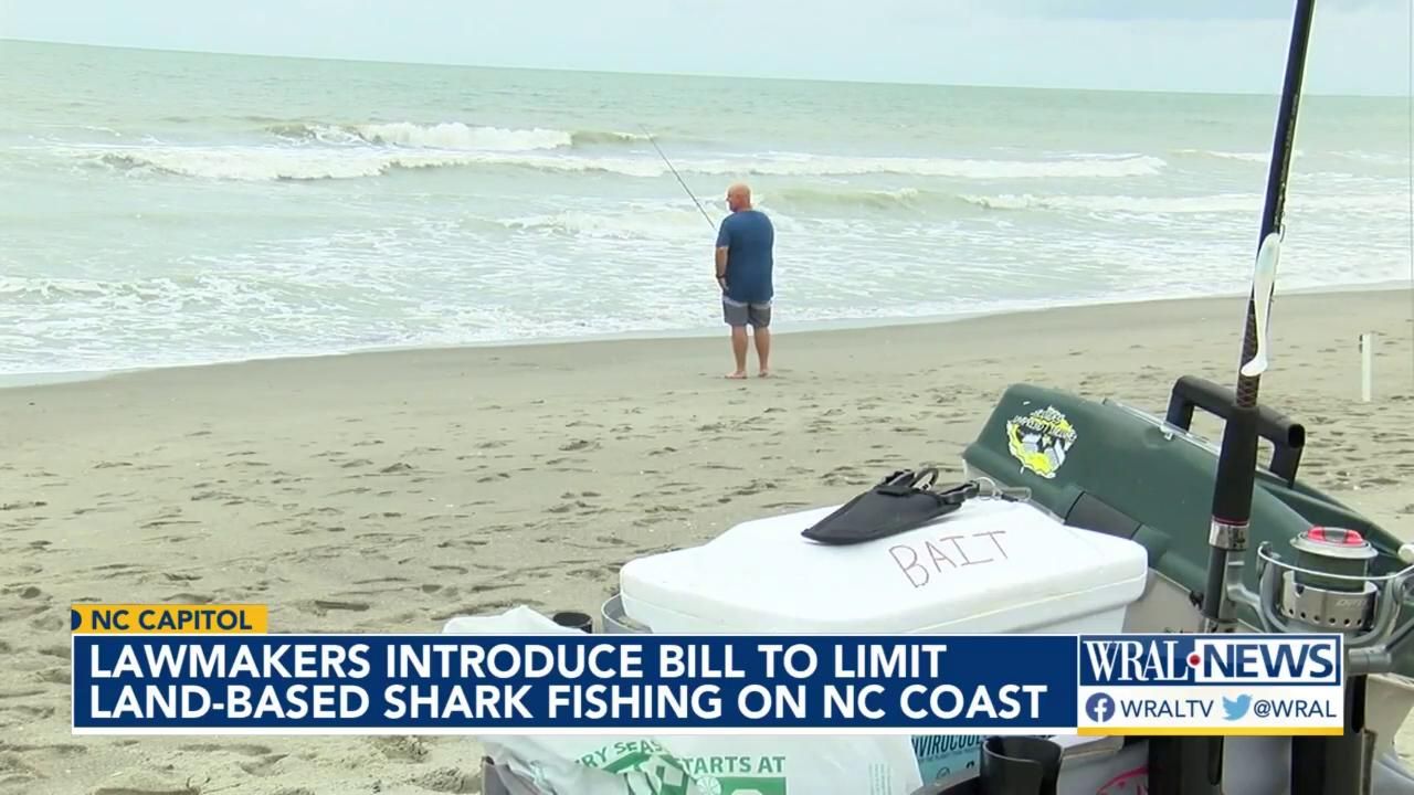 Fishermen, beach towns clash over bill that would ban shark fishing during  summer