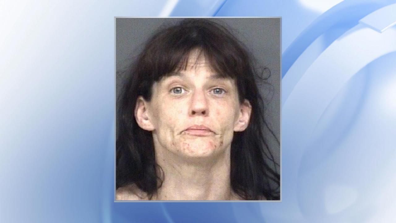 Greenville woman charged with human trafficking, rape, kidnapping