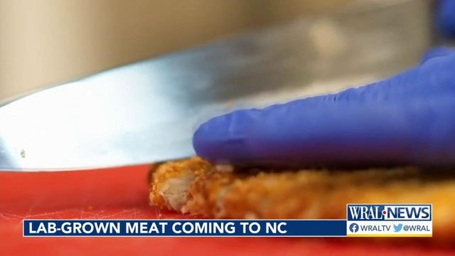 Lab-grown meat coming to NC