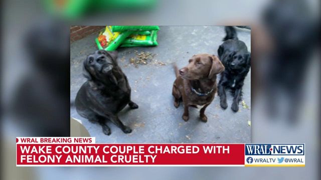 Wake County couple charged with felony animal cruelty