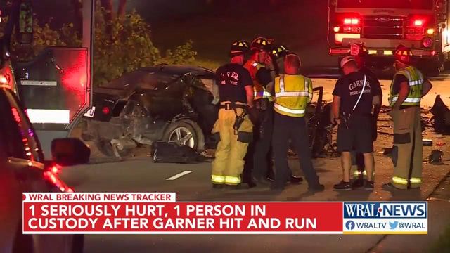 One seriously hurt, another in custody after Garner hit and run 