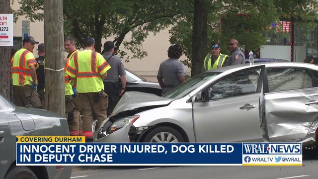 Deputy-involved crash in Durham leads to dog's death