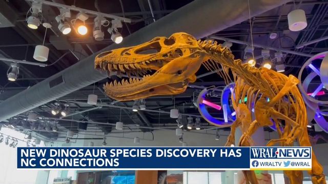 New dinosaur species discovery has link to North Carolina