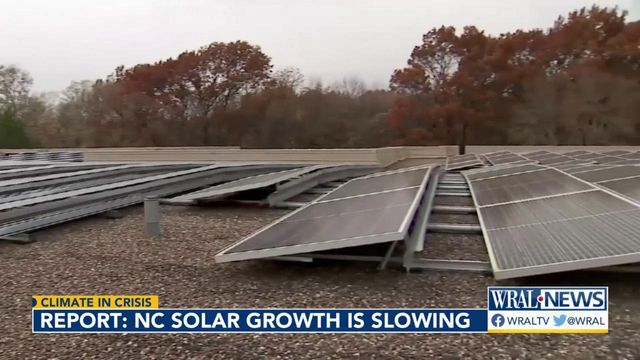 Report: NC solar growth is slowing