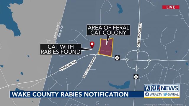 Rabies and zombies? Wake animal services director makes interesting link
