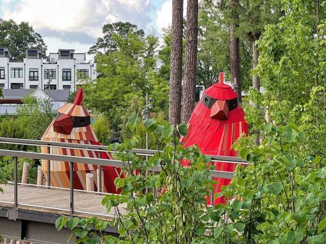Giant birds, elevated skywalk: Firsthand look at progress on Cary's Downtown Park