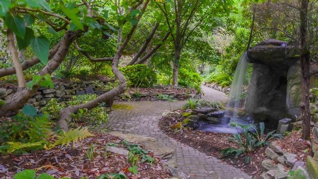 Firsthand tour: This Triangle-area garden has the rarest plants in the world