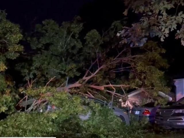 Power outages, damaged cars, blocked roadways: Fallen tree causes ...