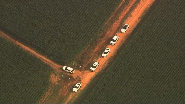Deputies search for man who stole truck, drove through cornfield 