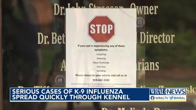 Serious cases of K-9 influenza spread quickly through kennel