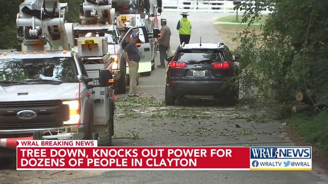 Tree down, knocks out power for nearly 100 people in Clayton