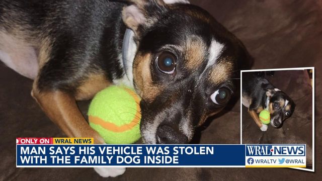 Man says his vehicle was stolen with the family dog inside