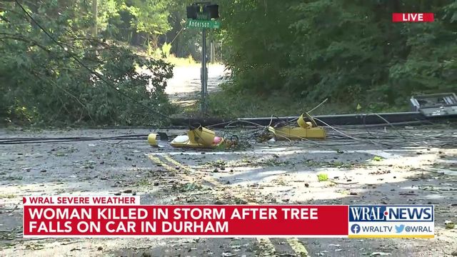 Woman killed in storm after tree falls on car in Durham