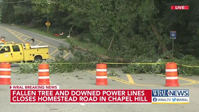 Homestead Road in Chapel Hill closed after tree falls onto road, power lines