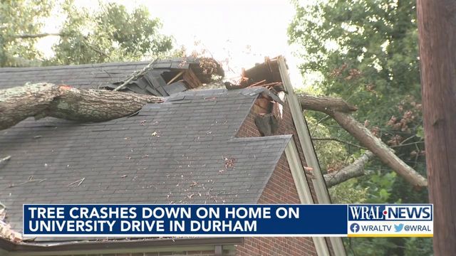 Tree crashes down on Durham home on University Drive  