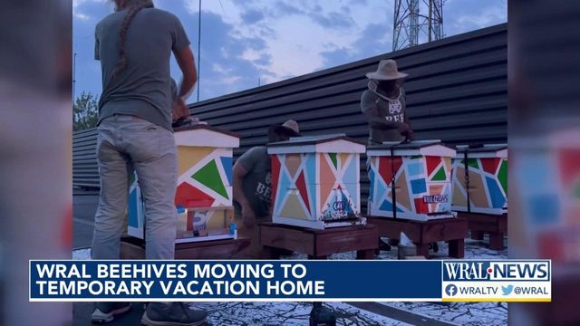 WRAL beehives moving to temporary vacation home