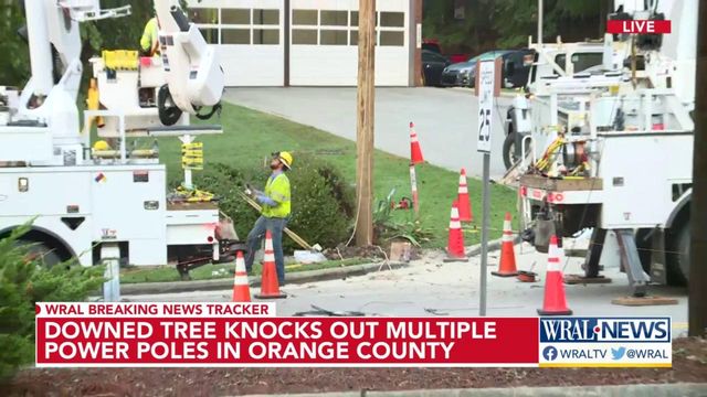 Downed tree knocks out multiple power poles in Orange County
