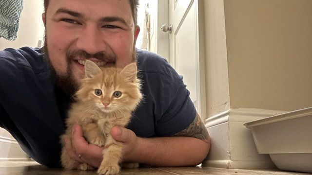 Carolina Beach Police Department shares update on kitten rescues