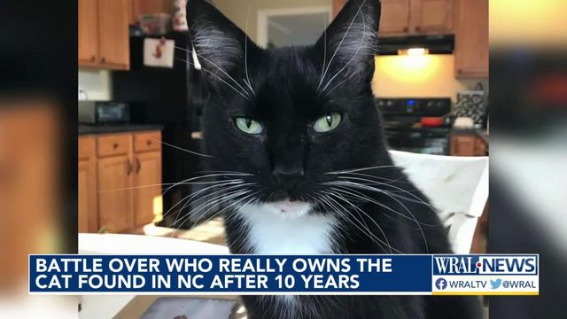 Battle over who really owns the cat found in NC after 10 years