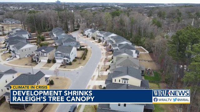 Development shrinks Raleigh's tree canopy