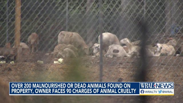 Over 200 malnourished or dead animals found on property; owner faces 90 animal cruelty charges