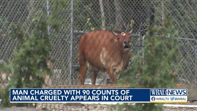 Animal cruelty charges filed after more than 200 animals found in small, fenced-in area