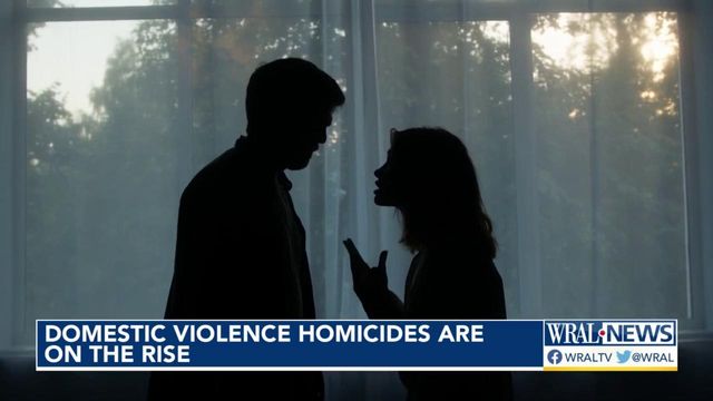 Domestic violence homicides are on the rise