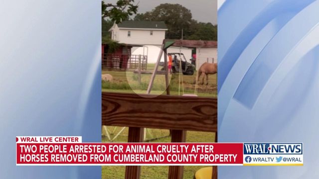 2 arrested for animal cruelty after horses removed from farm