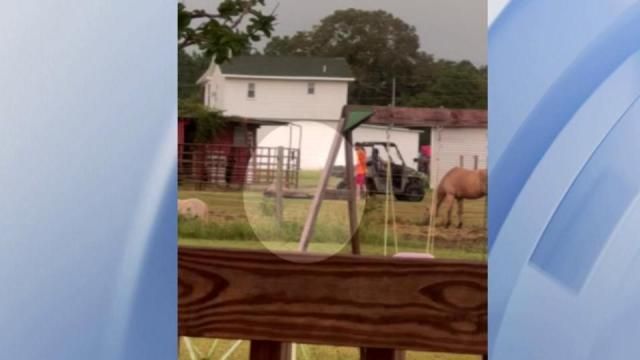 Two charged with animal cruelty in connection to Cumberland County horse  abuse scandal